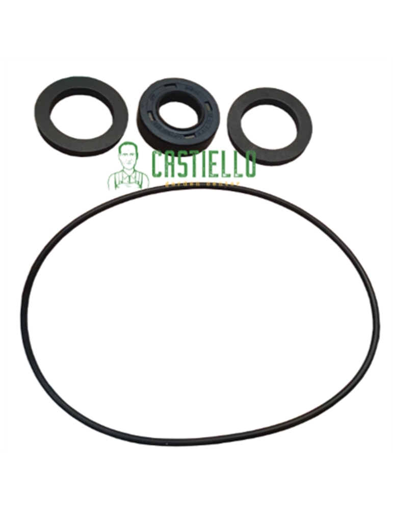 Kit guarnizioni rover 20 ce