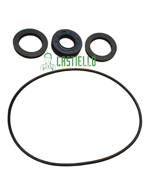 Kit guarnizioni rover 20 ce