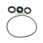 Kit guarnizioni rover 20 ce
