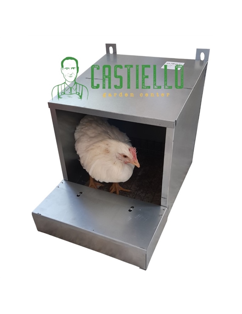Nido galline lamiera ovaiole 1 foro
