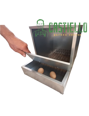 Nido galline lamiera ovaiole 1 foro