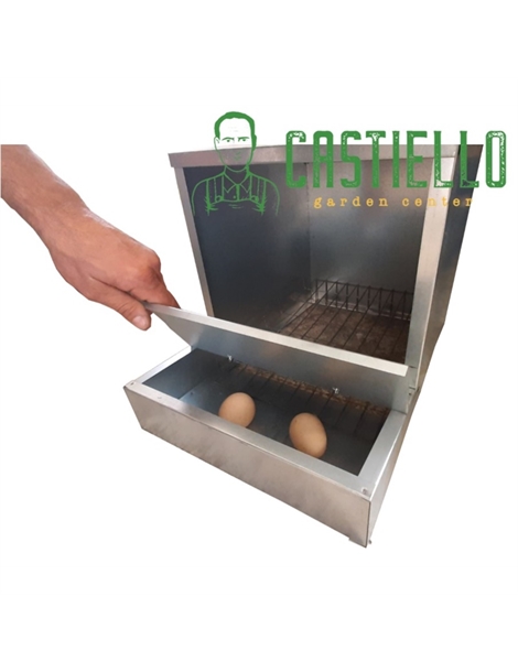 Nido galline lamiera ovaiole 1 foro