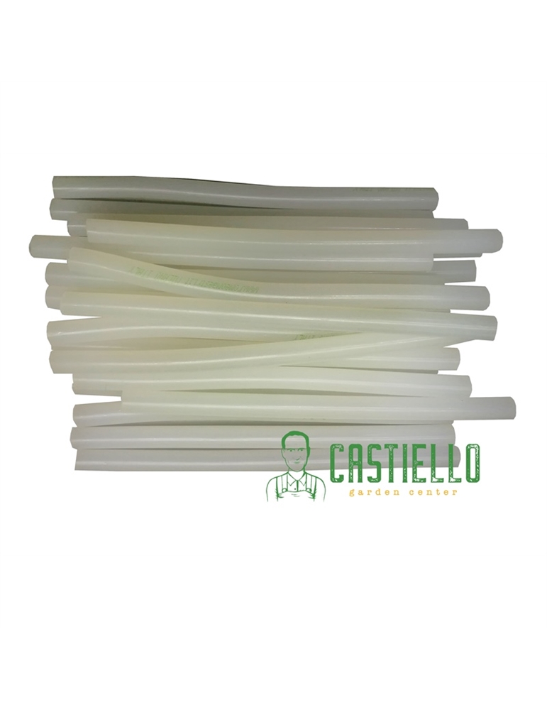 Colla termofusibile trasparente diam.10 cm19 pz1