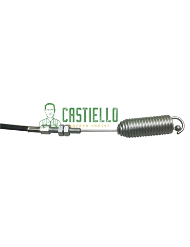 260050260 3 con logo