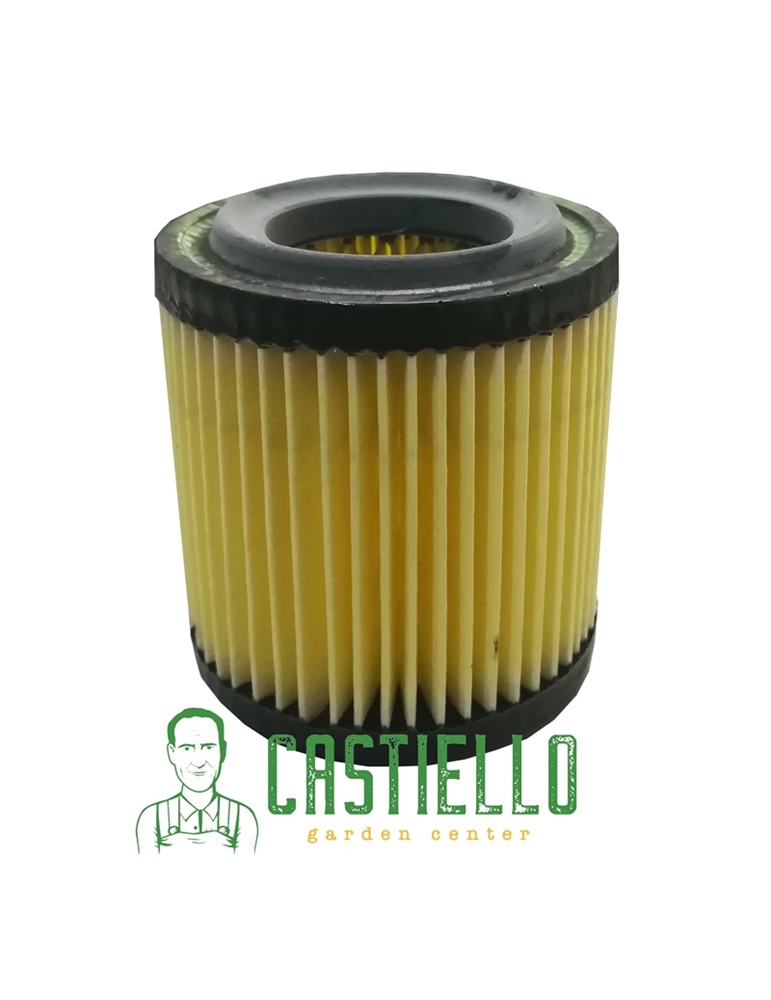Filtro aria As Motor - Tutti i modelli