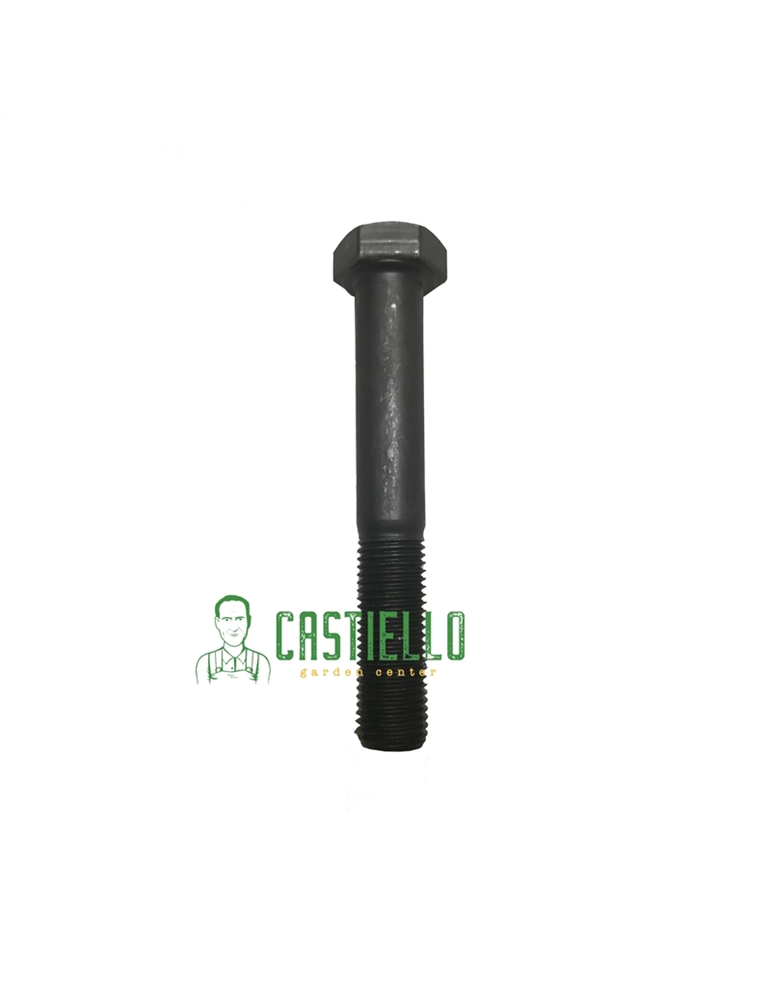 Vite lama bloccaggio lama tosaerba 70 x 10 mm, 016548 Castel Garden