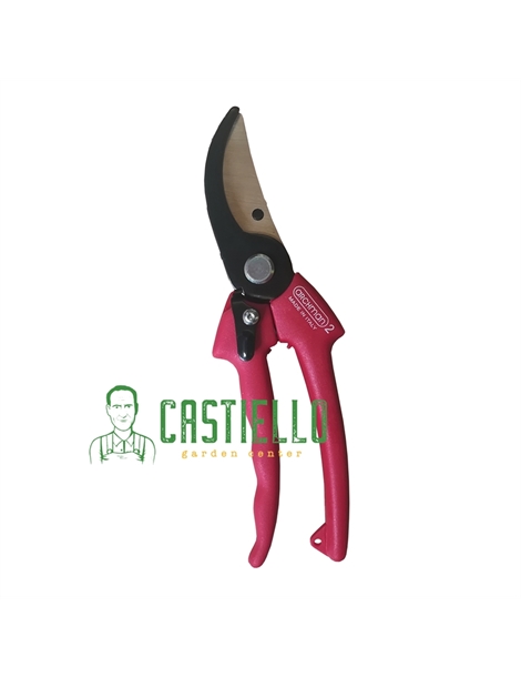 Articolo 2 cod. 342 cod. 8020043000029