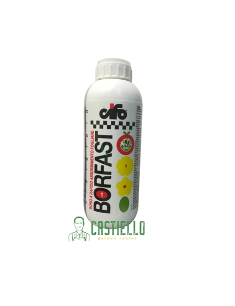 cifo borfast