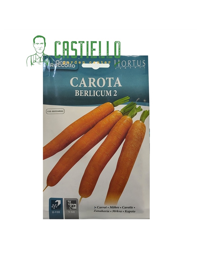 Carota berlicum 2 hortus gr.20