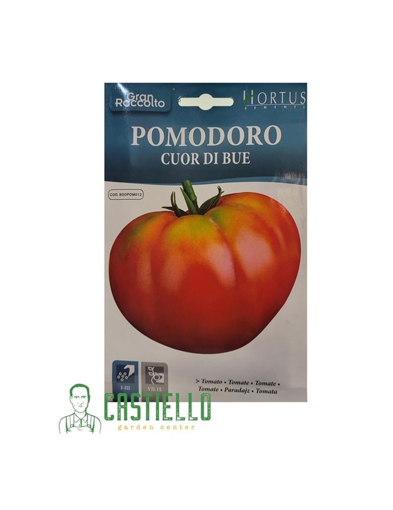 Pomodoro cuor di bue hortus gr2