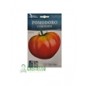 Pomodoro cuor di bue hortus gr2