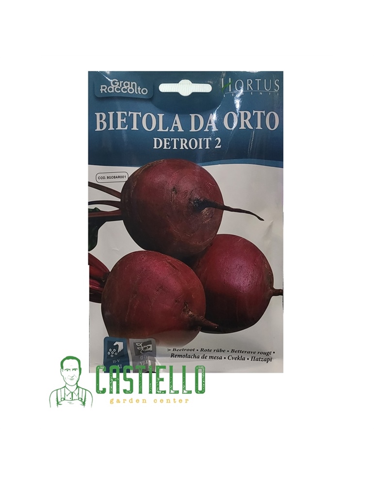 Bietola da orto detroit 2 hortus gr30