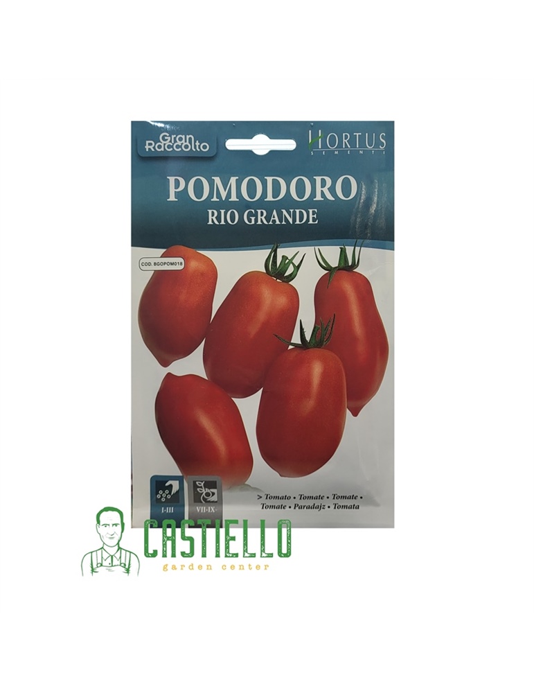 Pomodoro rio grande gr.2 HORTUS
