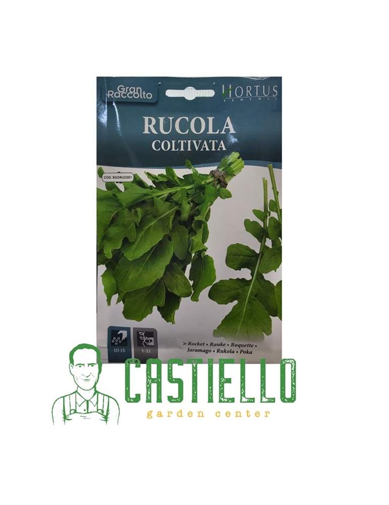 Rucola coltivata hortus gr30