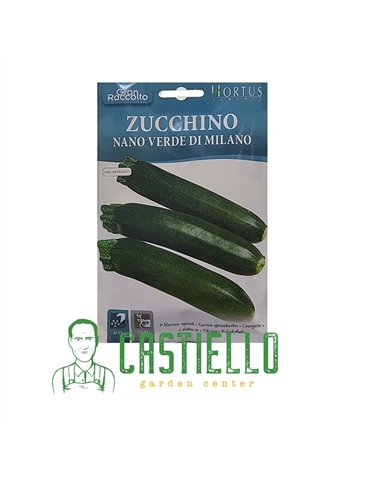 zucchino nano verde di milano