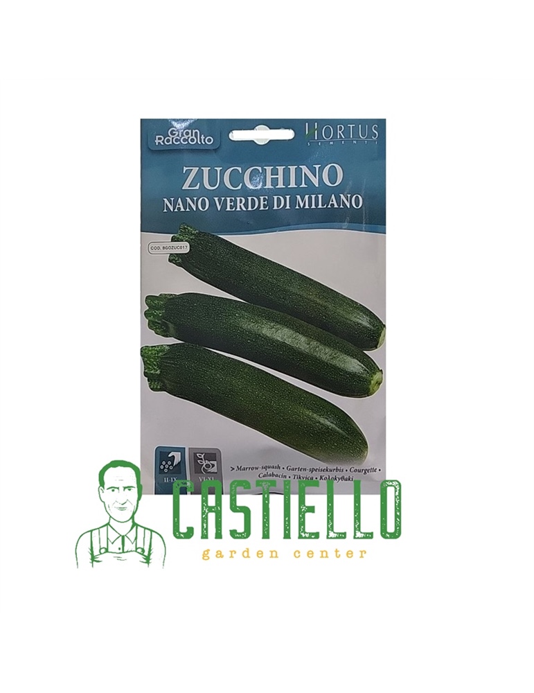 Zucchino nano verde di milano hortus 22gr