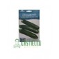 Zucchino nano verde di milano hortus 22gr