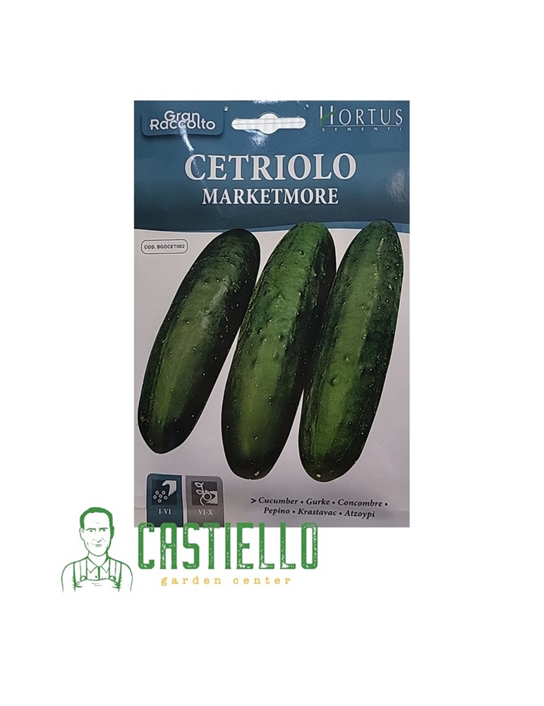 Cetriolo marketmore GR.10 hortus