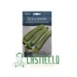 Zucchino alberello di sarzana hortus gr22