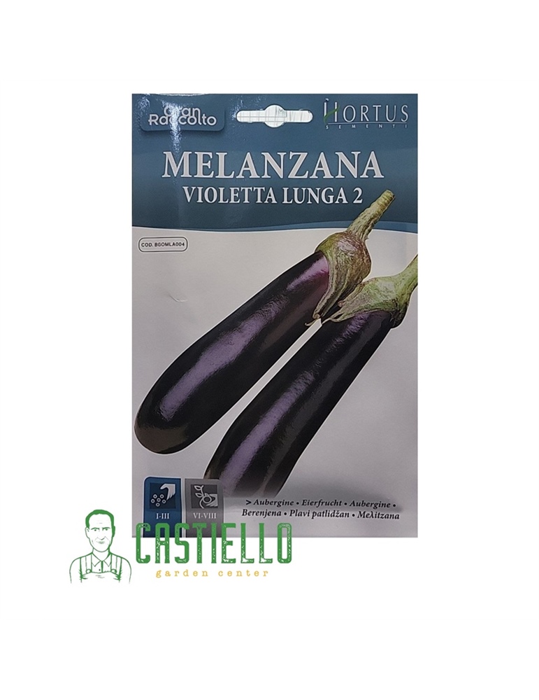Melenzana violetta lunga 2 GR.6 hortus