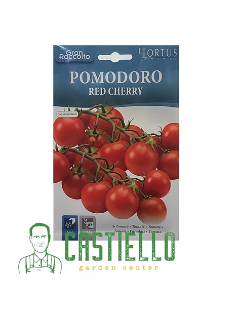 Pomodoro red cherry