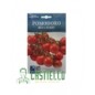 Pomodoro red cherry hortus 2gr