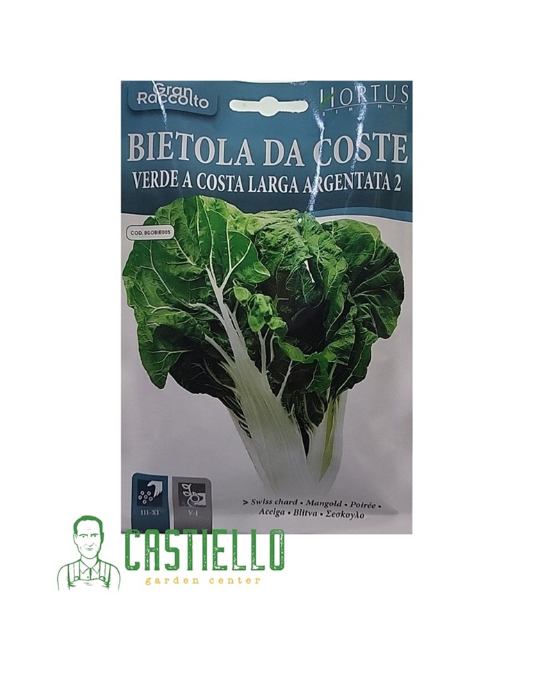 Bietola Da Coste verde a costa larga argentata 30gr hortus