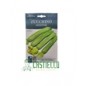 Zucchino genovese hortus gr15