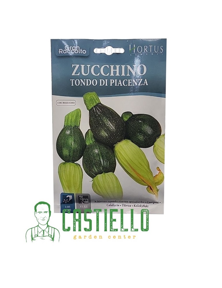 Zucchino tondo di piacenza GR.22 hortus