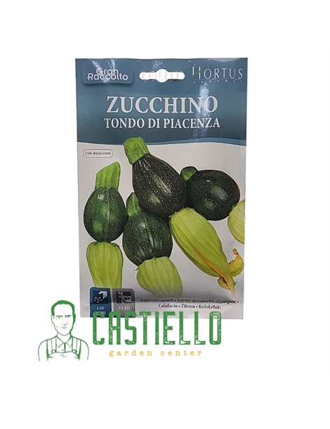 zucchino tondo di piacenza
