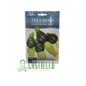 Zucchino tondo di piacenza GR.22 hortus