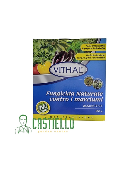 Fungicida Xedavir pfnpe contro marciumi 250gr Vithal cod.8023868007259