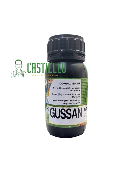 gussan