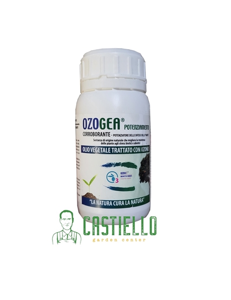 ozogea1