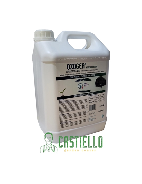 ozogea4
