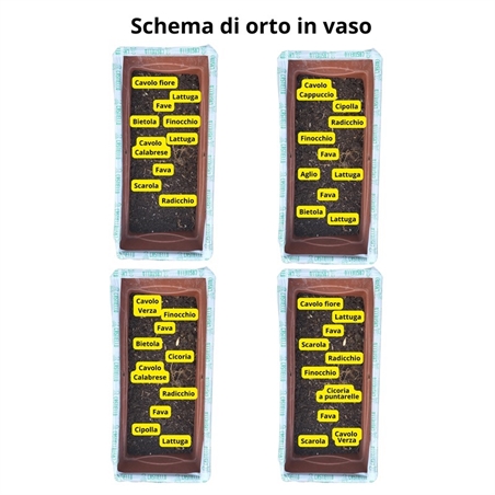 Kit piantine orto autunnali Pz25