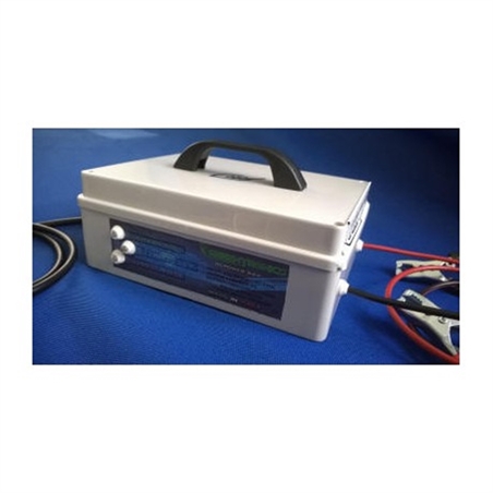 Caricabatterie con Desolfatore e Limitatore Di Carica Per Batterie A 12V  Repower
