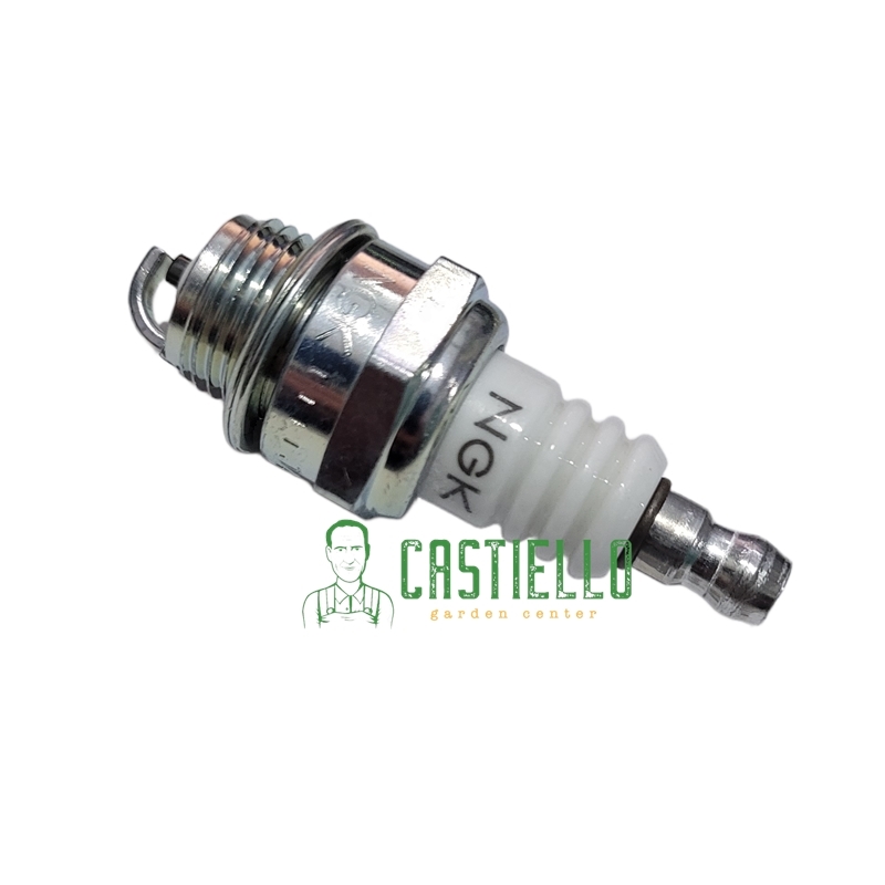 Candela NGK BPM6A