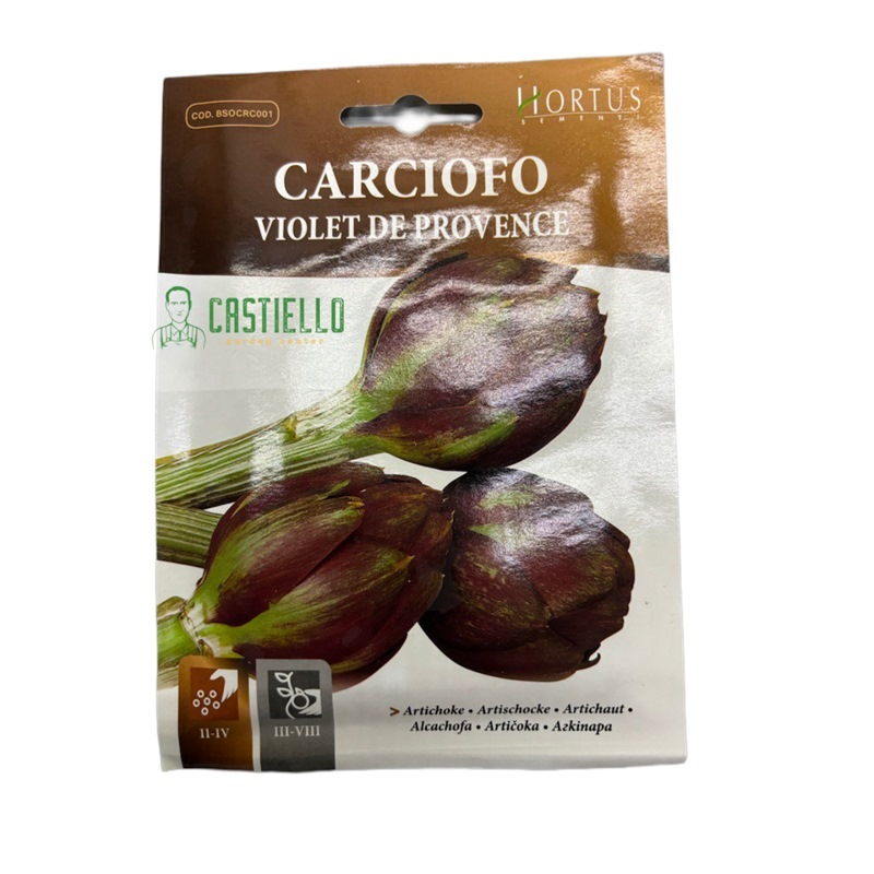 Carciofo violet de provence busta piccola hortus gr.4