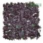 Siepe mattonella Acero rosso 50x50cm