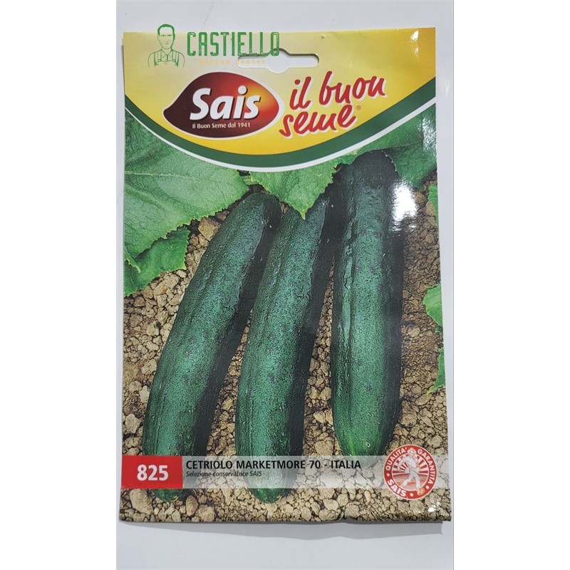 Cetriolo marketmore 70 sais