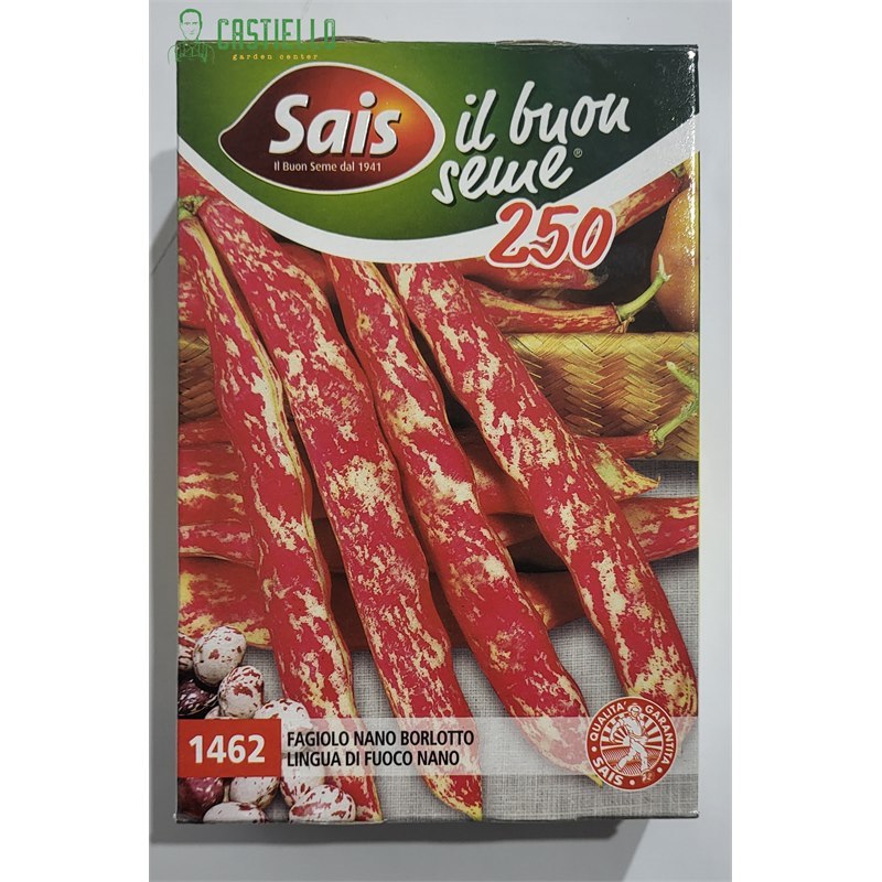 Fagiolo nano borlotto lingua di fuoco 250gr sais 1462 Fagiolo nano borlotto lingua di fuoco 250gr sais 1462