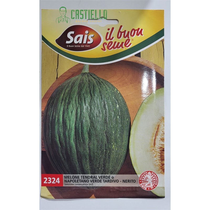 Melone tendral verde o napoletano verde tardivo Nerito sais 2324 Melone tendral verde o napoletano verde tardivo Nerito sais 2324
