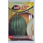 Melone tendral verde o napoletano verde tardivo Nerito sais 2324 Melone tendral verde o napoletano verde tardivo Nerito sais 2324