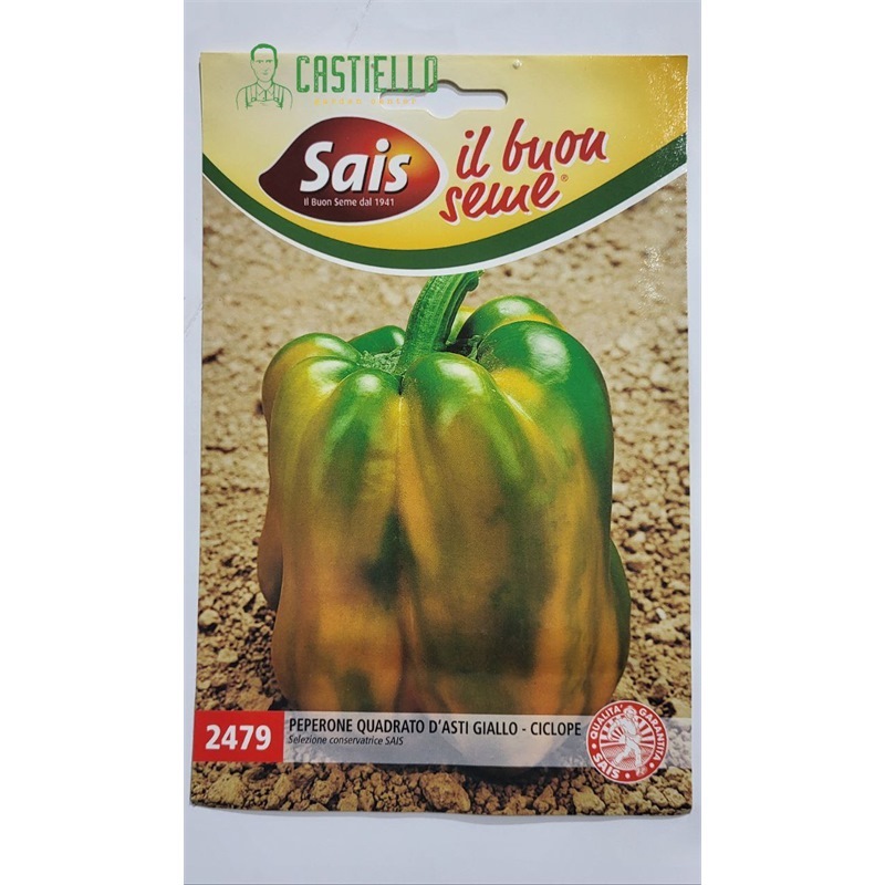 Peperone quadrato d'asti giallo - ciclope 2479 sais