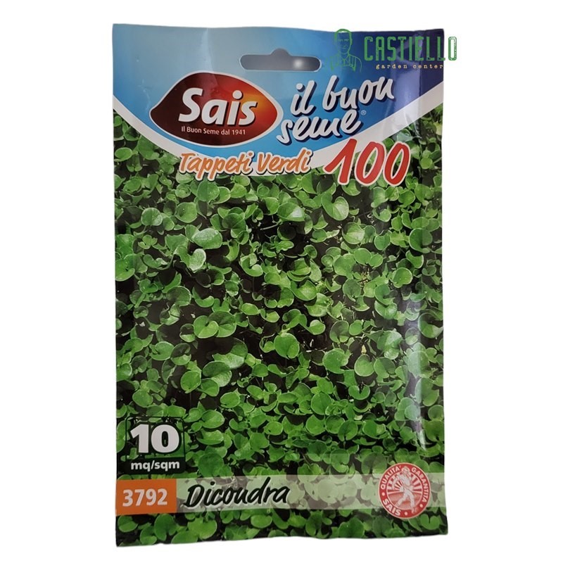 Dicondra 3792 sais gr 100 Dicondra 3792 sais gr 100
