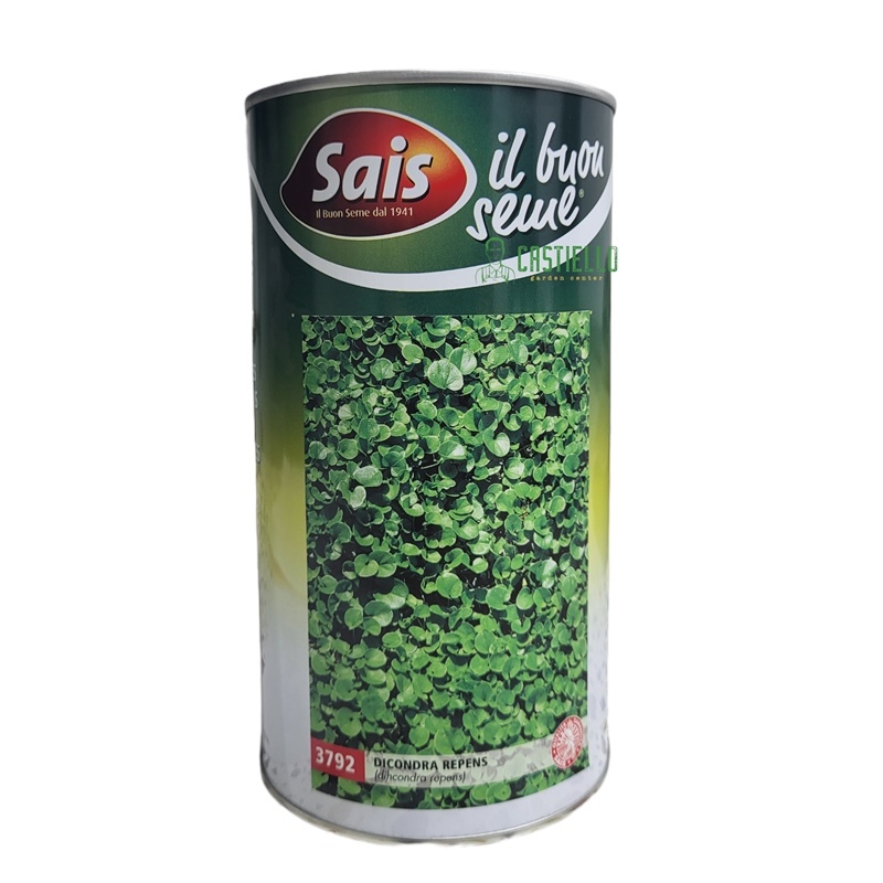 Dicondra repens sais 3792 0,500gr
