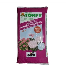 azaleen torfy