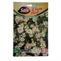 Camomilla seme comune sais 10gr