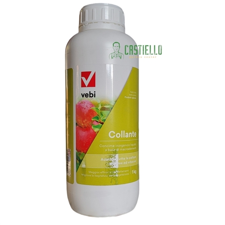 vebi collante